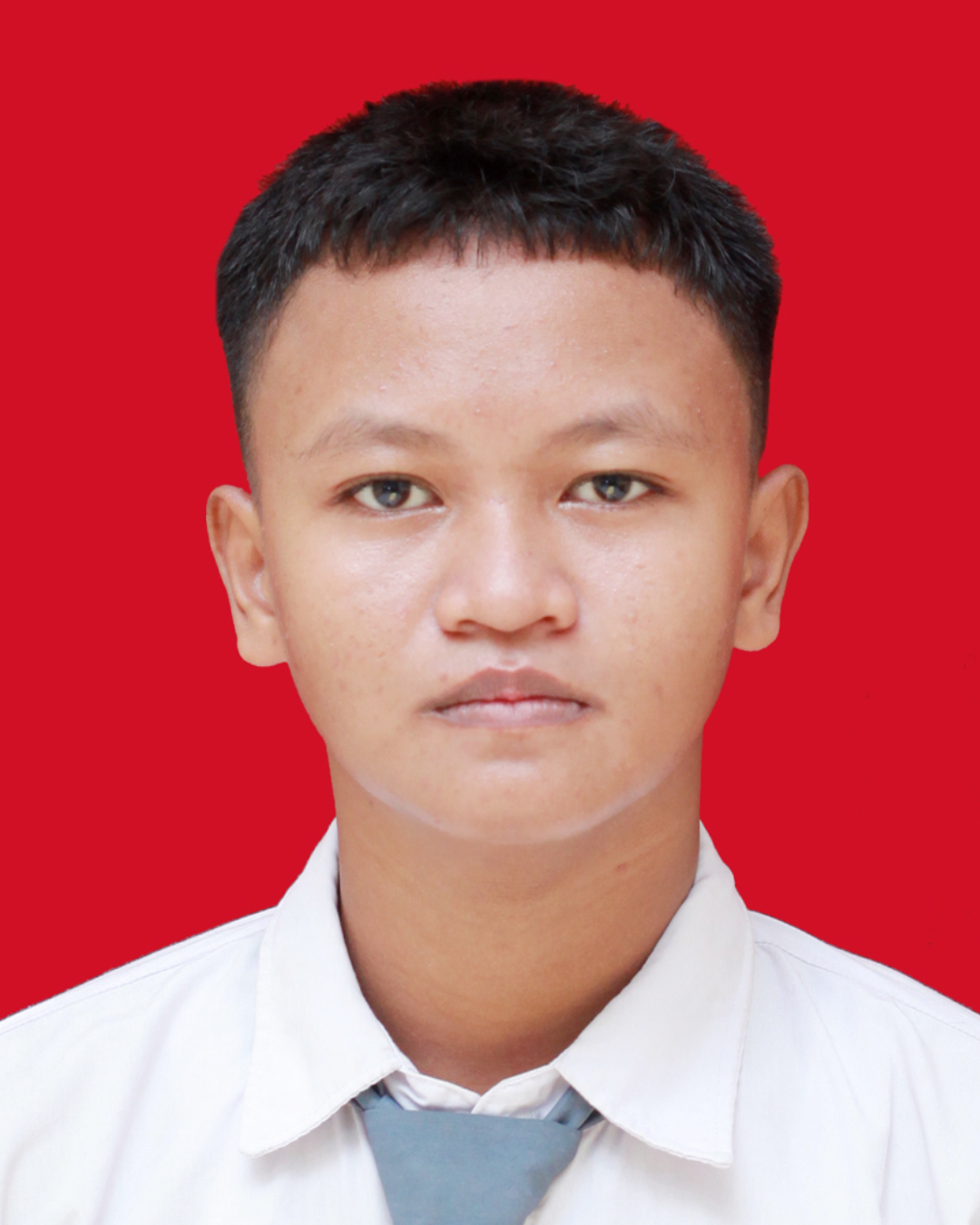 ALFI FAUZ EFENDI